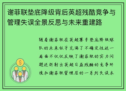 谢菲联垫底降级背后英超残酷竞争与管理失误全景反思与未来重建路